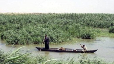 A6DB5C28 ED55 43E0 9ABB 9288AB9D4802