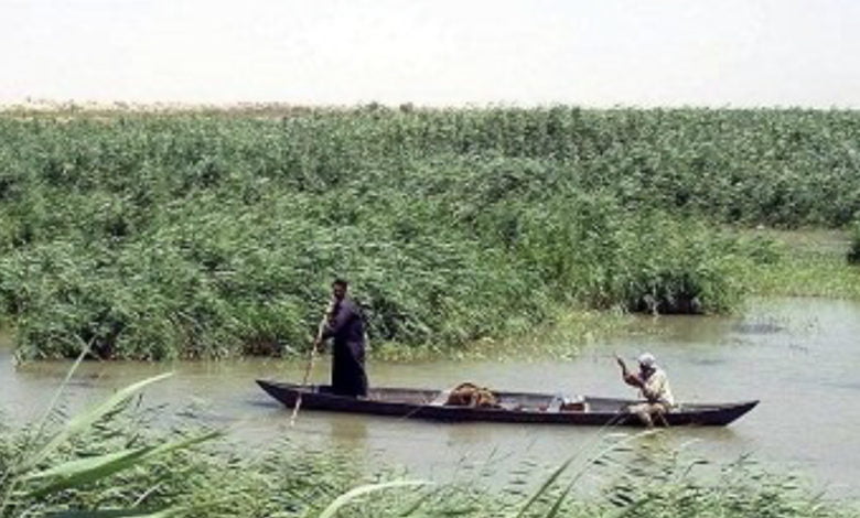 A6DB5C28 ED55 43E0 9ABB 9288AB9D4802