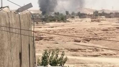 A89A184E A446 4C74 BCE4 BF9529F1FF86