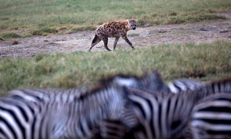 A93F132C 4C9A 4DFB 84AC 535722F05300