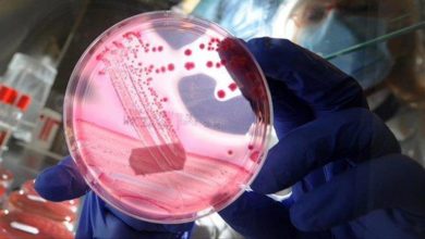 ABD7F0E9 6FCE 4A36 A706 4C3B3816F42F