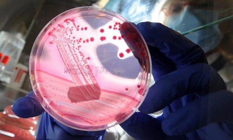 ABD7F0E9 6FCE 4A36 A706 4C3B3816F42F