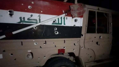 ACE3E45E 26DC 43CF 889F 05D119C820DB