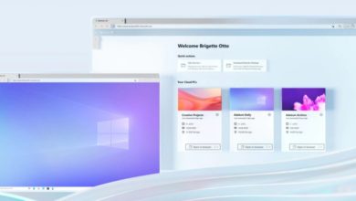 AFE828D8 E98C 4521 AED3 7E9664526143