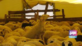 B0360EC2 658A 4894 ABF1 C810311FF4AA