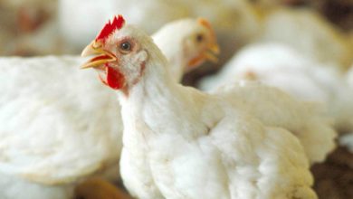 B53EAAD7 4A2F 449B A976 9464F7861CD1