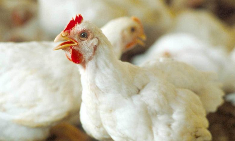 B53EAAD7 4A2F 449B A976 9464F7861CD1