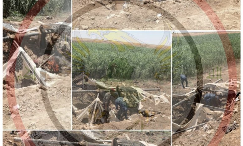 B6FE310A 01FE 428E 8ADA 510405765E85