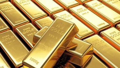 B781F19D 5188 4939 9C7B 31D1FC72403D