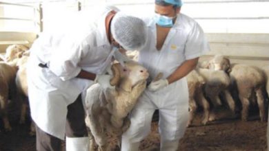 B80B74B0 0E93 4A75 907F D58665105BFA