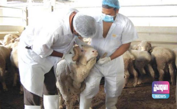 B80B74B0 0E93 4A75 907F D58665105BFA