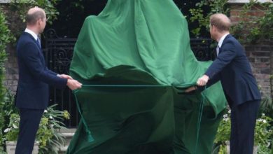 BBAA45DE 51F8 4C5A BDC7 9E149CCF99D3