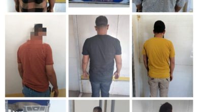 C0D4EF23 D490 4A7A A6FF CE77025B6C74