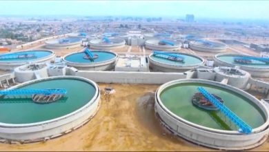 C39A7CA9 8535 4FC6 8782 09FEFFDEB9B2