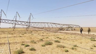 C4CCB96E D514 400D 8EAB 12BE1C38C5C8