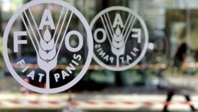 C9DCF462 CFBE 4B79 8B64 EB7C3917FD05