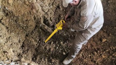 D207D624 326B 4717 8EFC B0FAC5ED8DD3