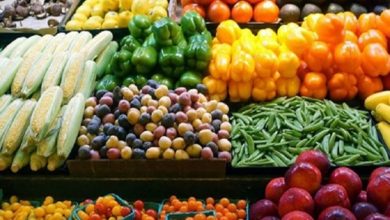 D98E58DB D552 4FB6 841E FCD90A8F2362