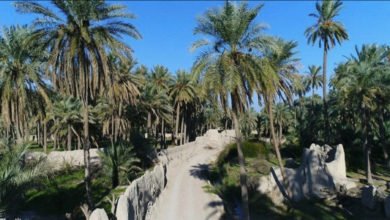 DB790092 AD45 4FD6 BC94 8E0BAC66BC5B