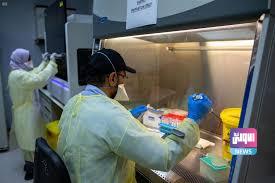 صحة ميسان تتحدث عن طفرات وراثية لكورونا وتحذر: ثلاثة أمور ستقودنا للهاوية 5 DC70BFA9 8B24 4783 98C9 9D5E4AF99467