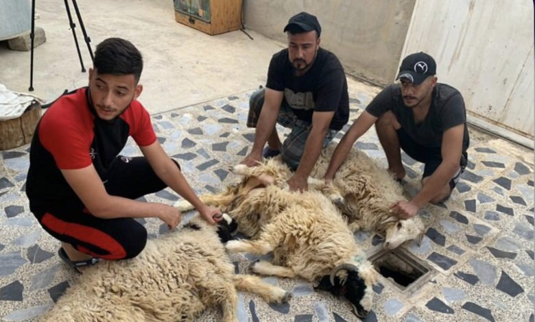 E26C8E82 B39C 445A B186 BEB83B91B999