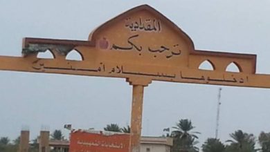 E413A5FB 9BF0 4D2D A0F4 EC523A380632