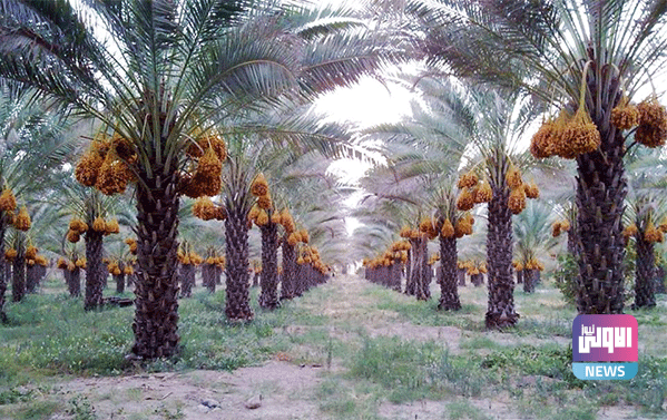 E6B131D7 3928 438E 98EB E12C31E2BDED