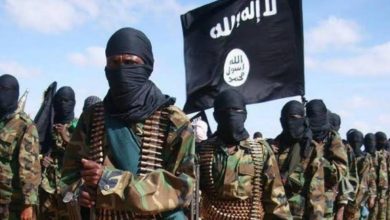 E6D91FEC 34BE 4393 976A E8D25A0868EF