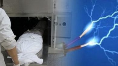 E85461FD 7C4E 4BB7 9B95 232F1ECA15BA