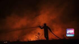 E98B5BD1 421A 4971 8540 41BA027F7F3E