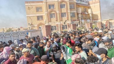 E9A764F3 7874 4253 BE94 C8D3738833E5