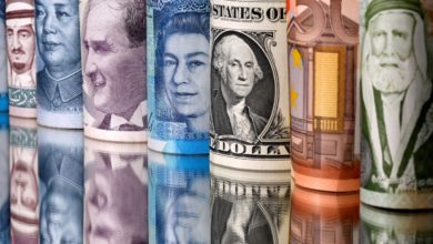 EAADDBFC F660 44A8 8295 0BEE03D931D9