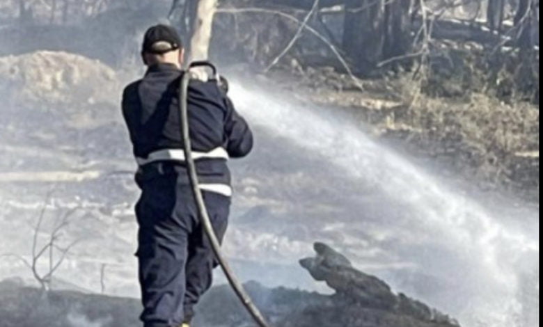 EB8B2E80 FDEB 4F08 A080 8D7CE16DE18C