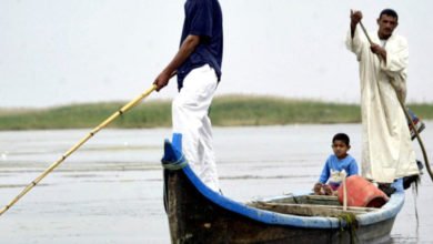 F0DBD451 658B 46ED 8B79 C64576D30C1B