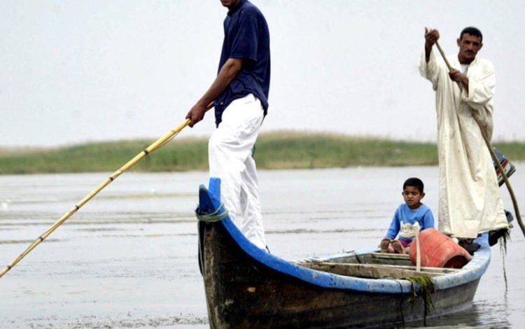 F0DBD451 658B 46ED 8B79 C64576D30C1B