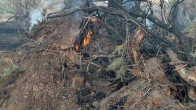 F5C9F5EE 9EFE 4BC2 ACAE ADFB24DF723B