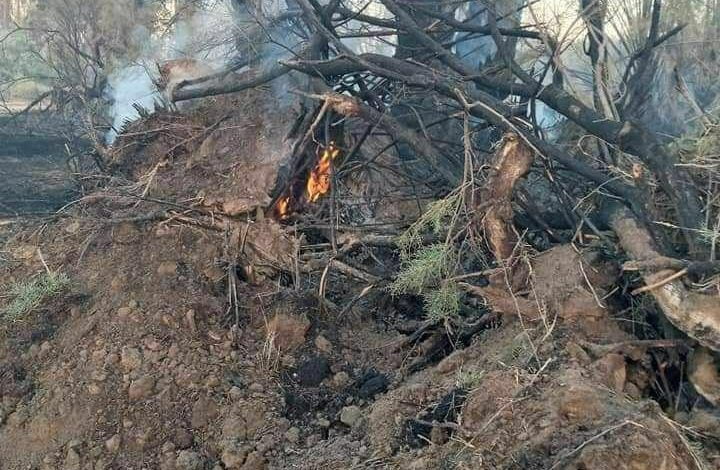 F5C9F5EE 9EFE 4BC2 ACAE ADFB24DF723B