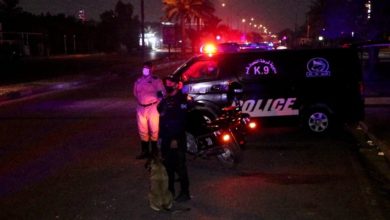 F676D710 910D 4C84 9AC1 4CF81F1502EA