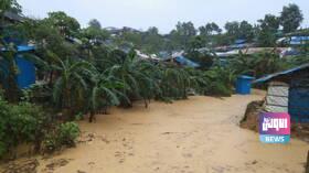 FEE9301E 4EE8 49AD 8CE4 848E502DCA11