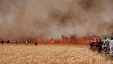 IMG 20210707 172723 090