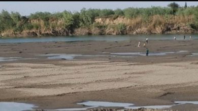 طرح سابقاً دون جدوى.. ما هو "عيث ديالى" الذي سينقذ 200 ألف نسمة بالمحافظة 4 Screenshot 20210708 223952