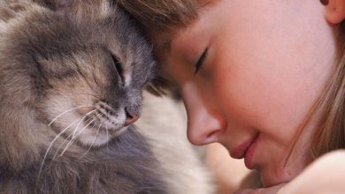 a880fd33c76d601016e78508b19f9d4e