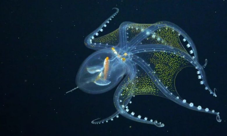 ٢٠٢١٠٧١٣ ٢٢٠٢٢٤