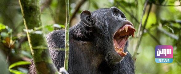 ٢٠٢١٠٧٢٢ ٢١١٤٥٢