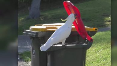 ٢٠٢١٠٧٢٢ ٢٢٠٩٣٤