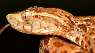 ٢٠٢١٠٧٢٤ ٢٢١٦٤٦