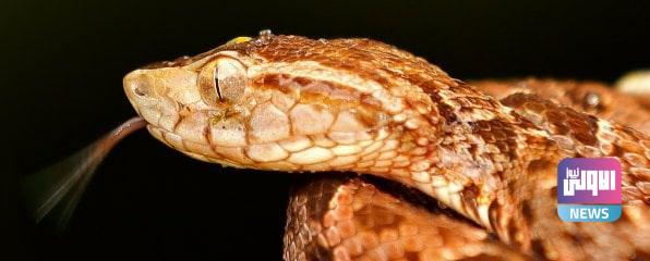 ٢٠٢١٠٧٢٤ ٢٢١٦٤٦