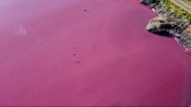 ٢٠٢١٠٧٢٦ ٢٣٥١٥٨