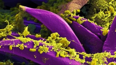 ٢٠٢١٠٧٢٩ ١٨٢٨١٨