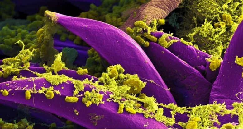 ٢٠٢١٠٧٢٩ ١٨٢٨١٨